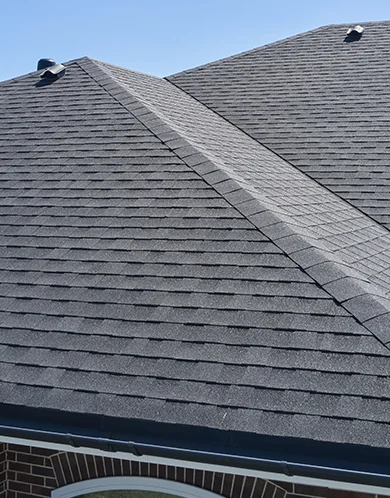 Shingle Roof