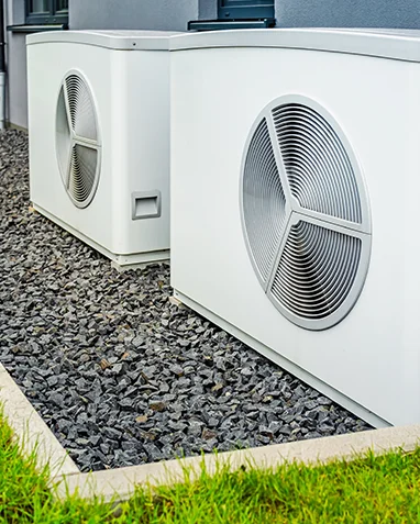 Consultation & Recommendations