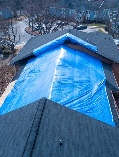 Tarp Services