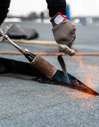 New Roof Installation