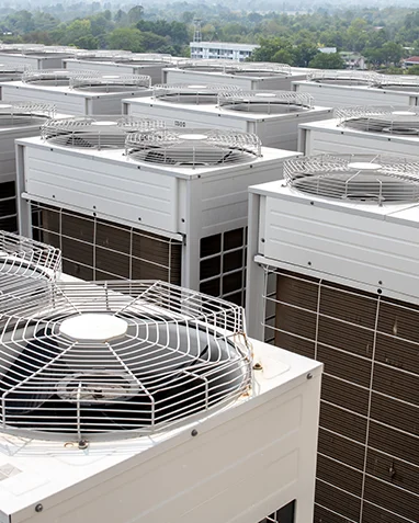 Lorem ipsum dolor sit amet, consectetur.