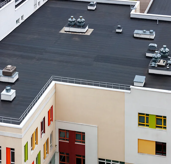 Lorem ipsum dolor consectetur adipiscing.