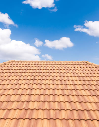 Clay Tile Roof